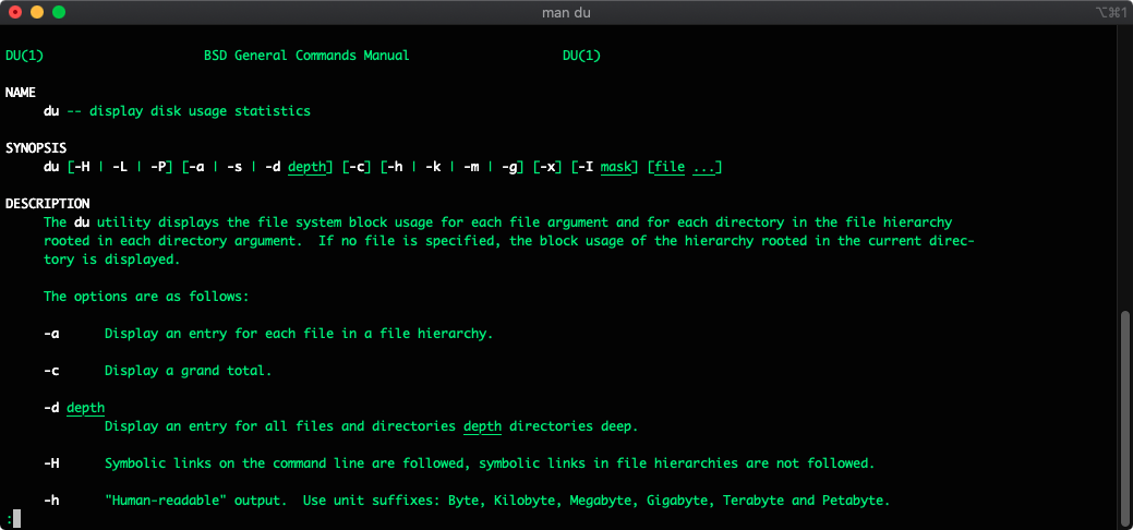 Find the exact size of certain files in Linux via terminal